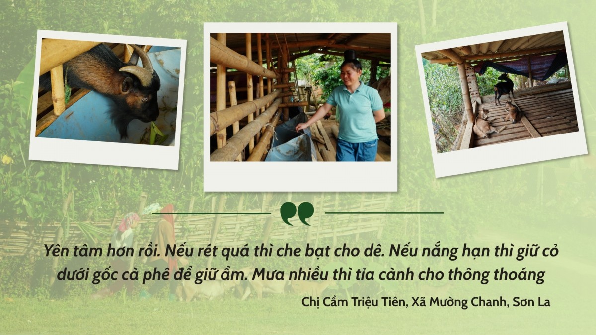 Hoa trên triền núi Hoa trên triền núi