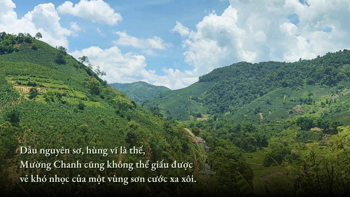 Hoa trên triền núi