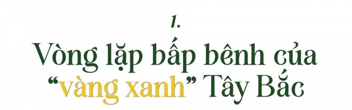 Hoa trên triền núi Hoa trên triền núi