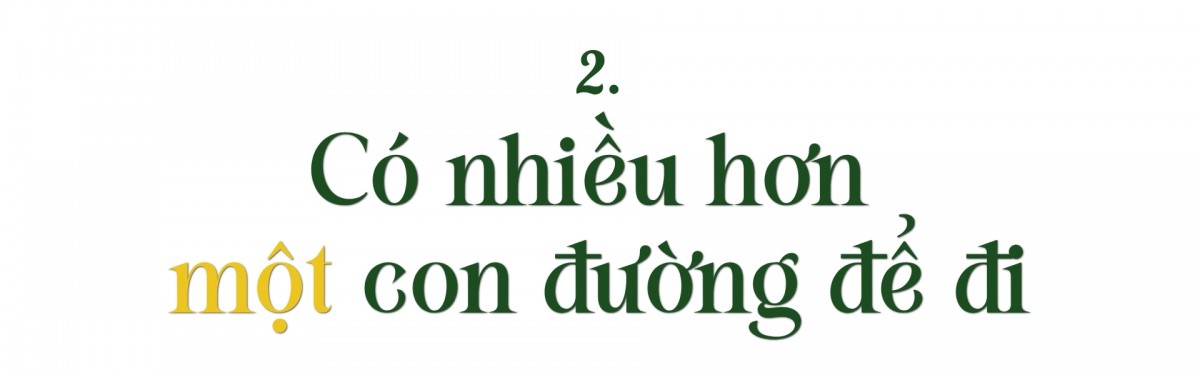Hoa trên triền núi Hoa trên triền núi