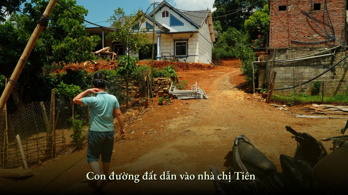 Hoa trên triền núi Hoa trên triền núi
