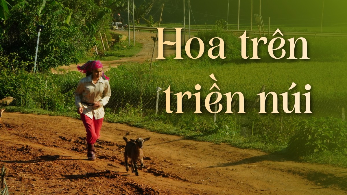 Hoa trên triền núi