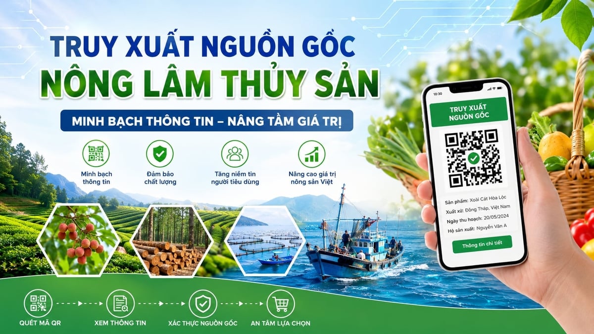 Hệ thống TXNG đã tích hợp trên hạ tầng của Bộ với mức hoàn thiện khoảng 90%, còn lại chủ yếu là kiểm thử, hiệu chỉnh. Ảnh: Canva. Hệ thống TXNG đã tích hợp trên hạ tầng của Bộ với mức hoàn thiện khoảng 90%, còn lại chủ yếu là kiểm thử, hiệu chỉnh. Ảnh: Canva.