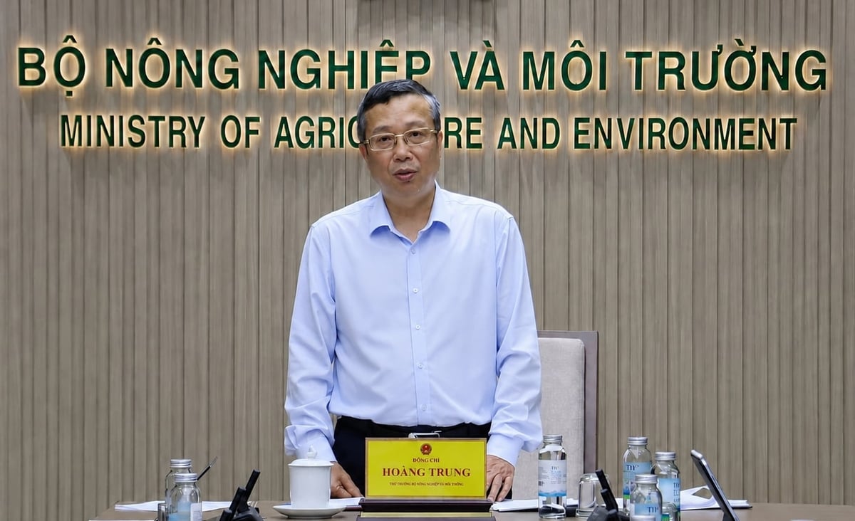 Thứ trưởng Hoàng Trung phát biểu chỉ đạo cuộc họp. Ảnh: Nguyễn Thủy. Thứ trưởng Hoàng Trung phát biểu chỉ đạo cuộc họp. Ảnh: Nguyễn Thủy.