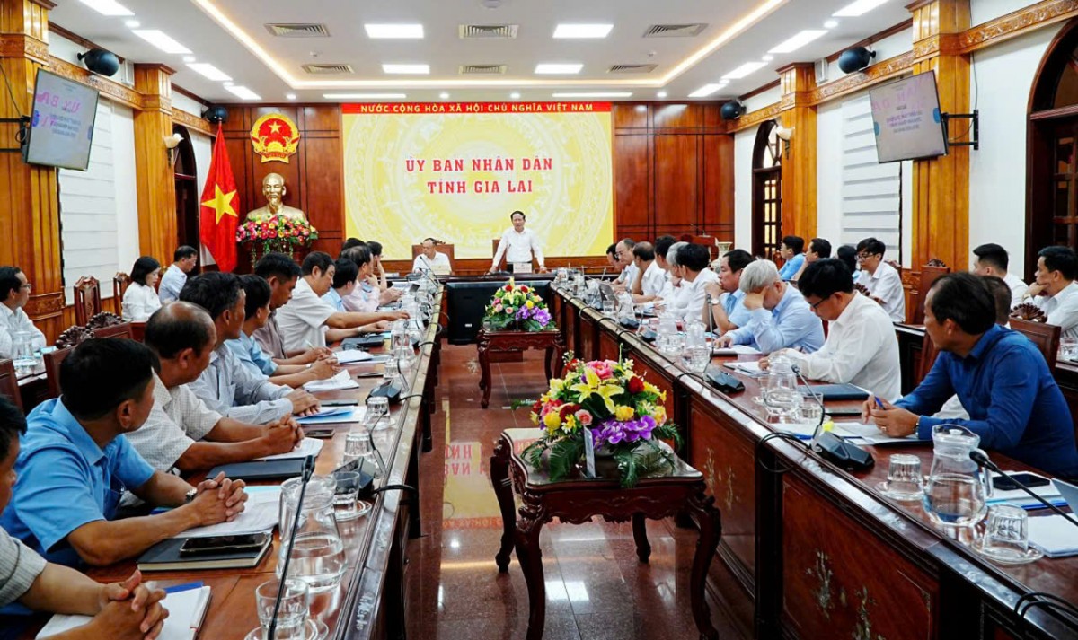 Gia Lai rà soát, hoàn thiện Chiến lược phát triển giai đoạn 2026-2030 của doanh nghiệp