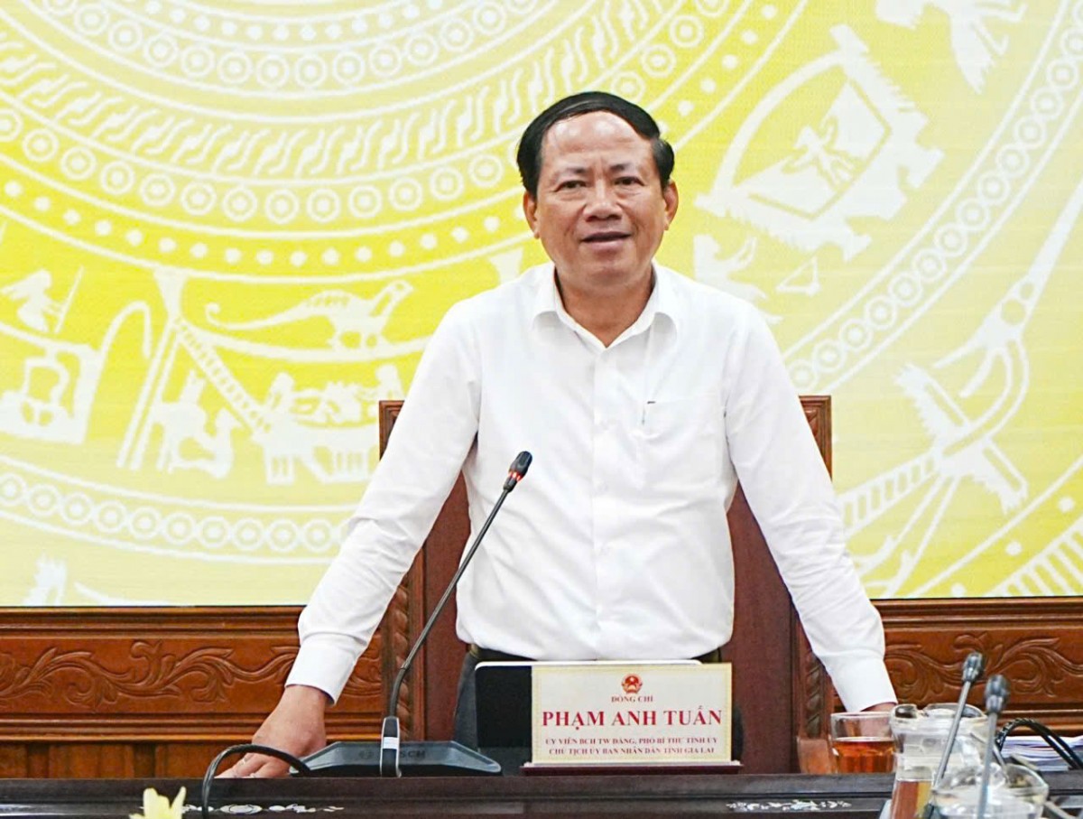 Gia Lai rà soát, hoàn thiện Chiến lược phát triển giai đoạn 2026-2030 của doanh nghiệp