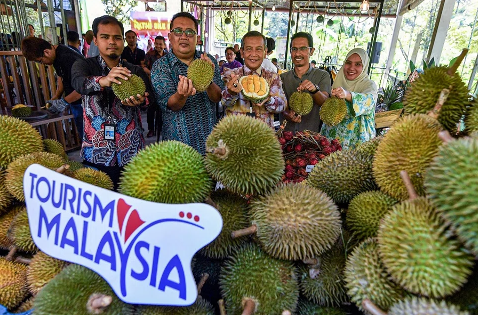Bội thu sầu riêng tại Malaysia và bài toán cung cầu trong nông nghiệp