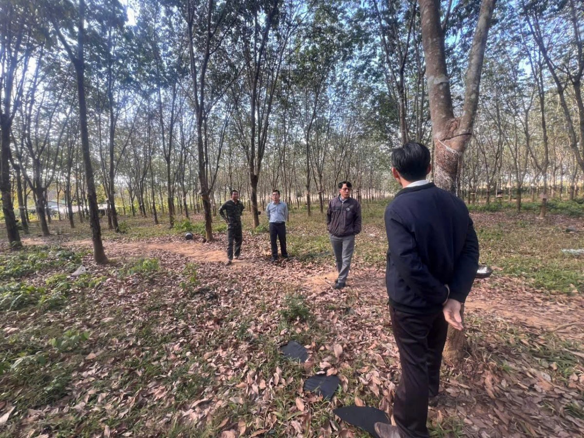 Hành trình kiến tạo nền nông nghiệp xanh, bền vững gắn với bảo vệ môi trường