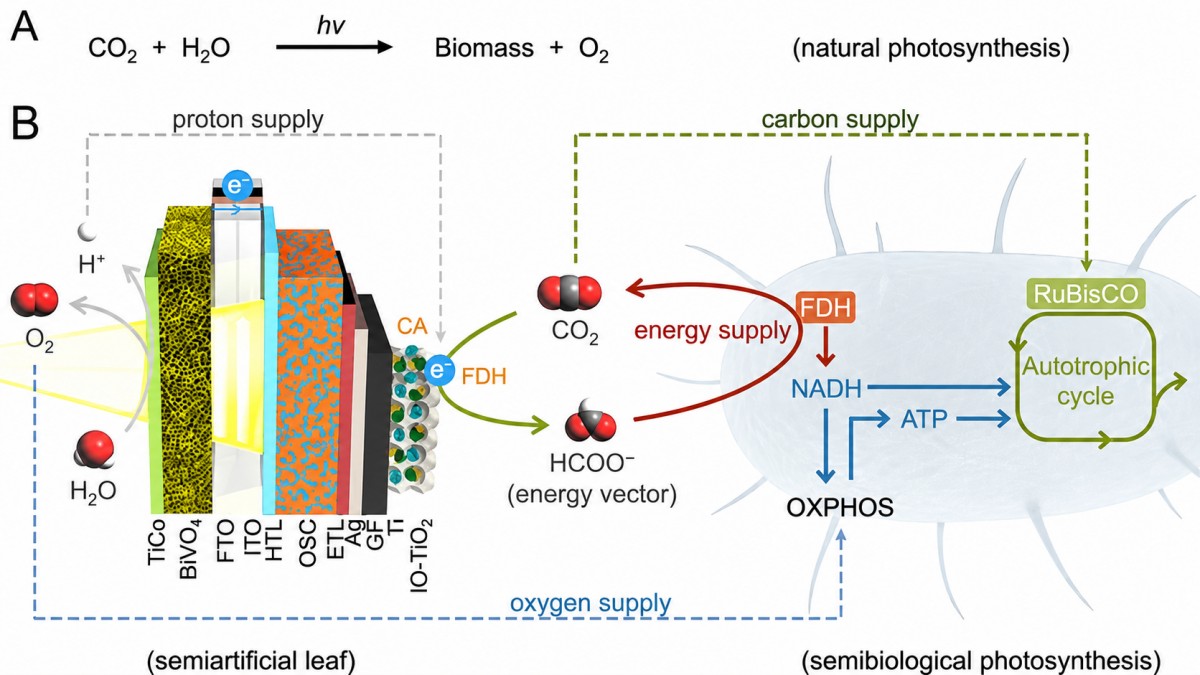 Công nghệ mới biến CO₂ thành nguyên liệu sinh học