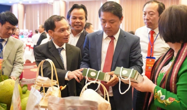 Đắk Lắk tổ chức Đại hội Liên minh Hợp tác xã lần thứ I
