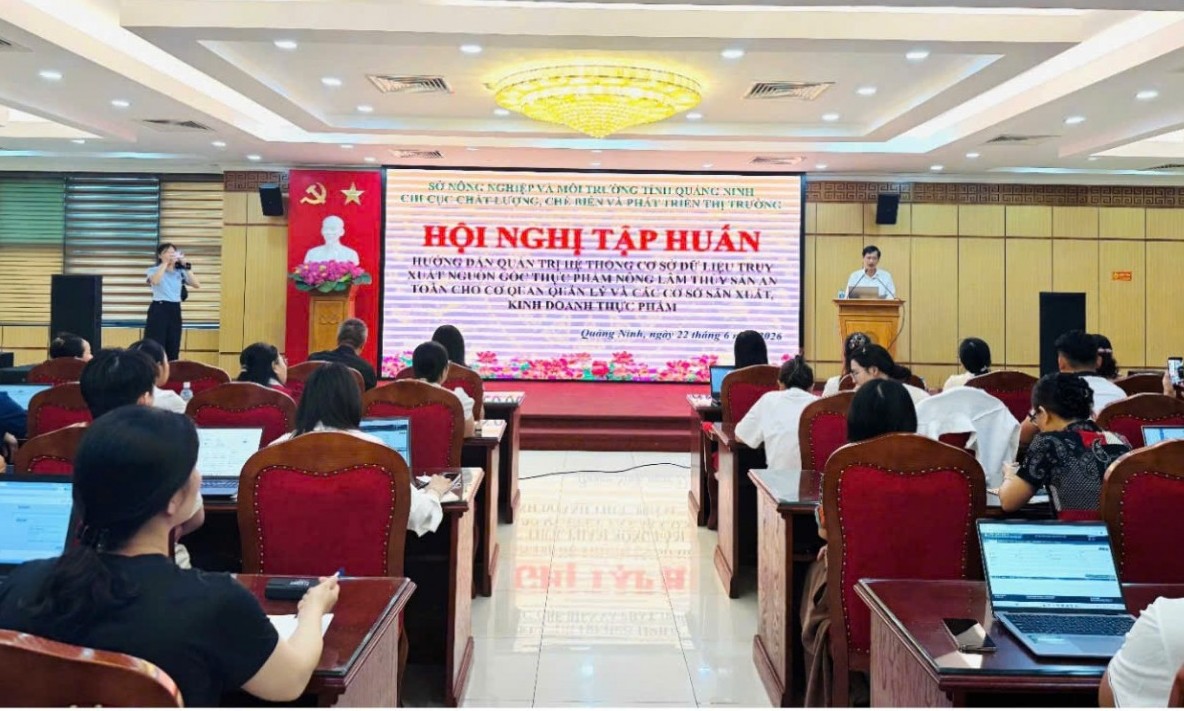 Quảng Ninh: Tập huấn quản trị Hệ thống cơ sở dữ liệu truy xuất nguồn gốc thực phẩm