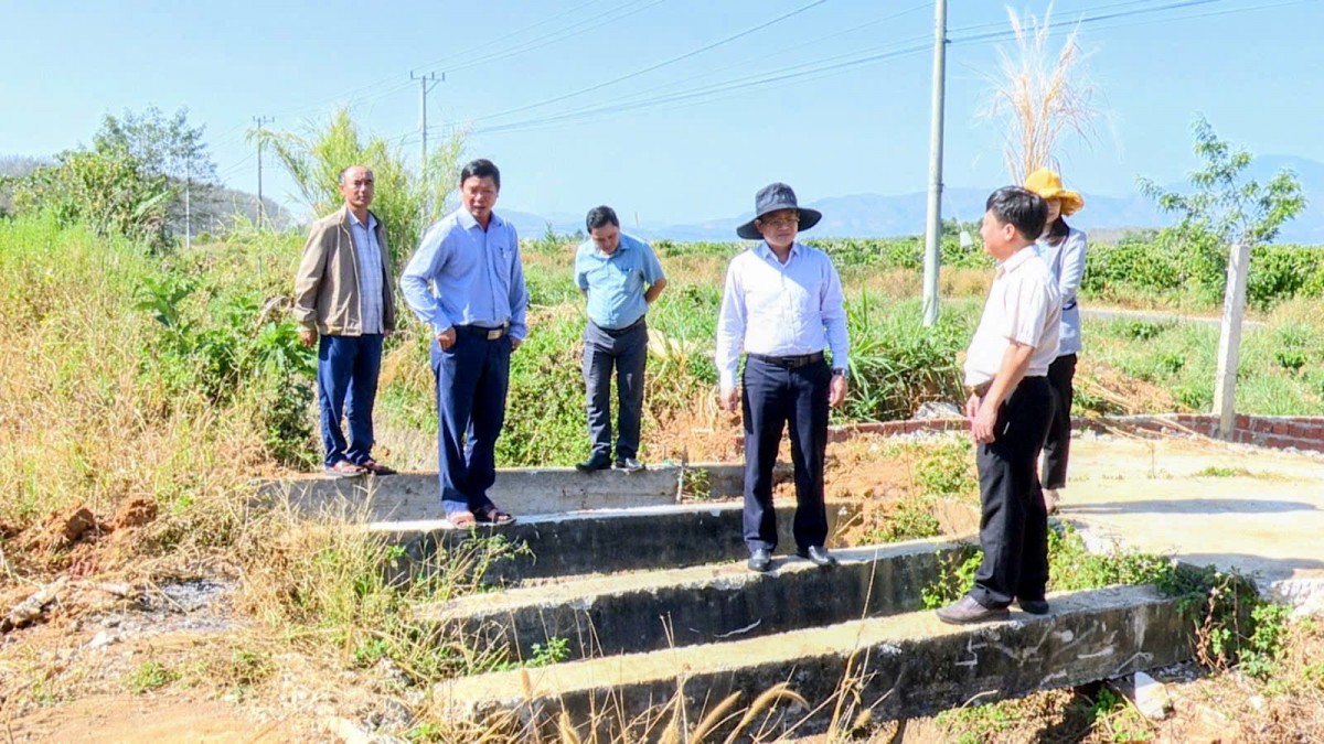 Nông nghiệp Đăk Hà: Khát vọng vươn tầm từ sự hợp nhất và chuyển đổi bền vững