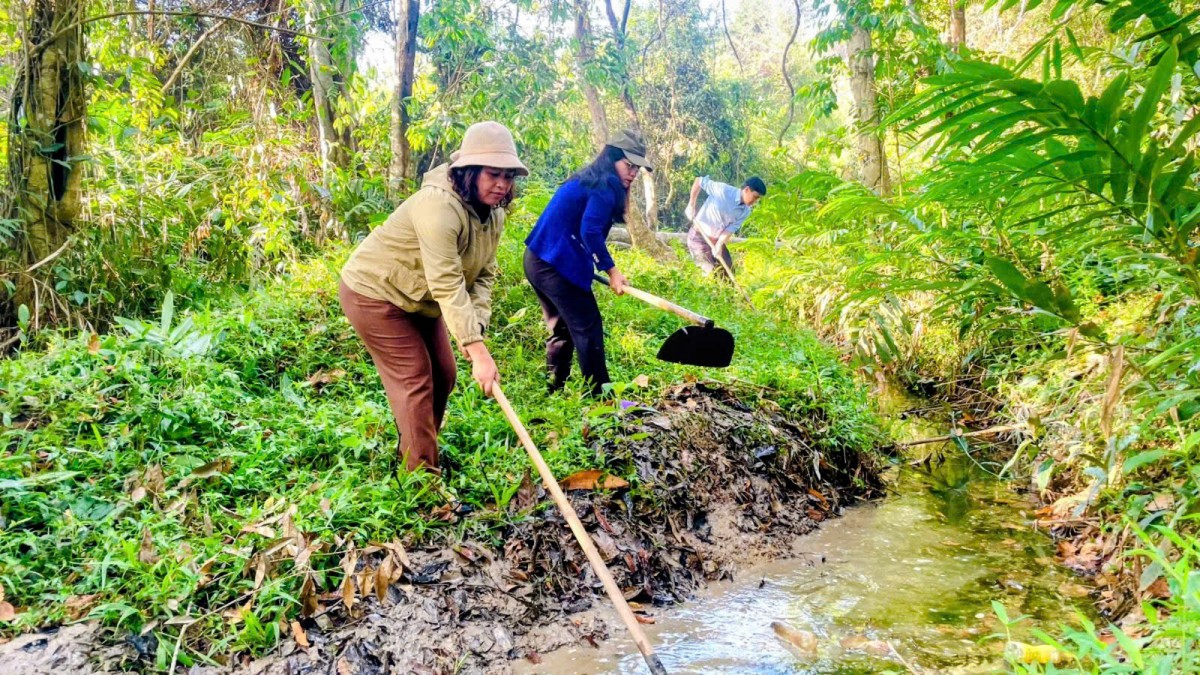 Nông nghiệp Đăk Hà: Khát vọng vươn tầm từ sự hợp nhất và chuyển đổi bền vững