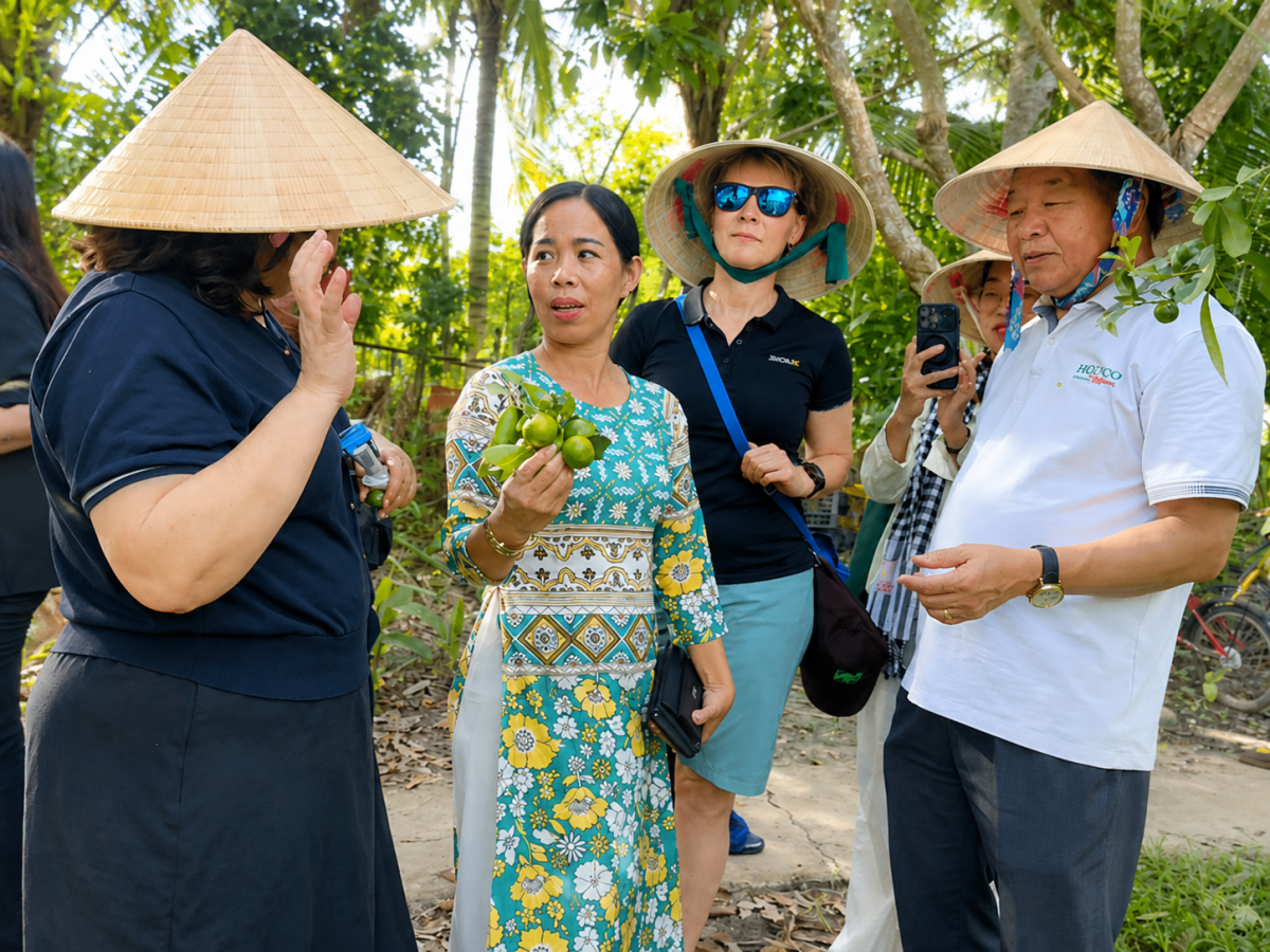 Đàn kiến vàng 
