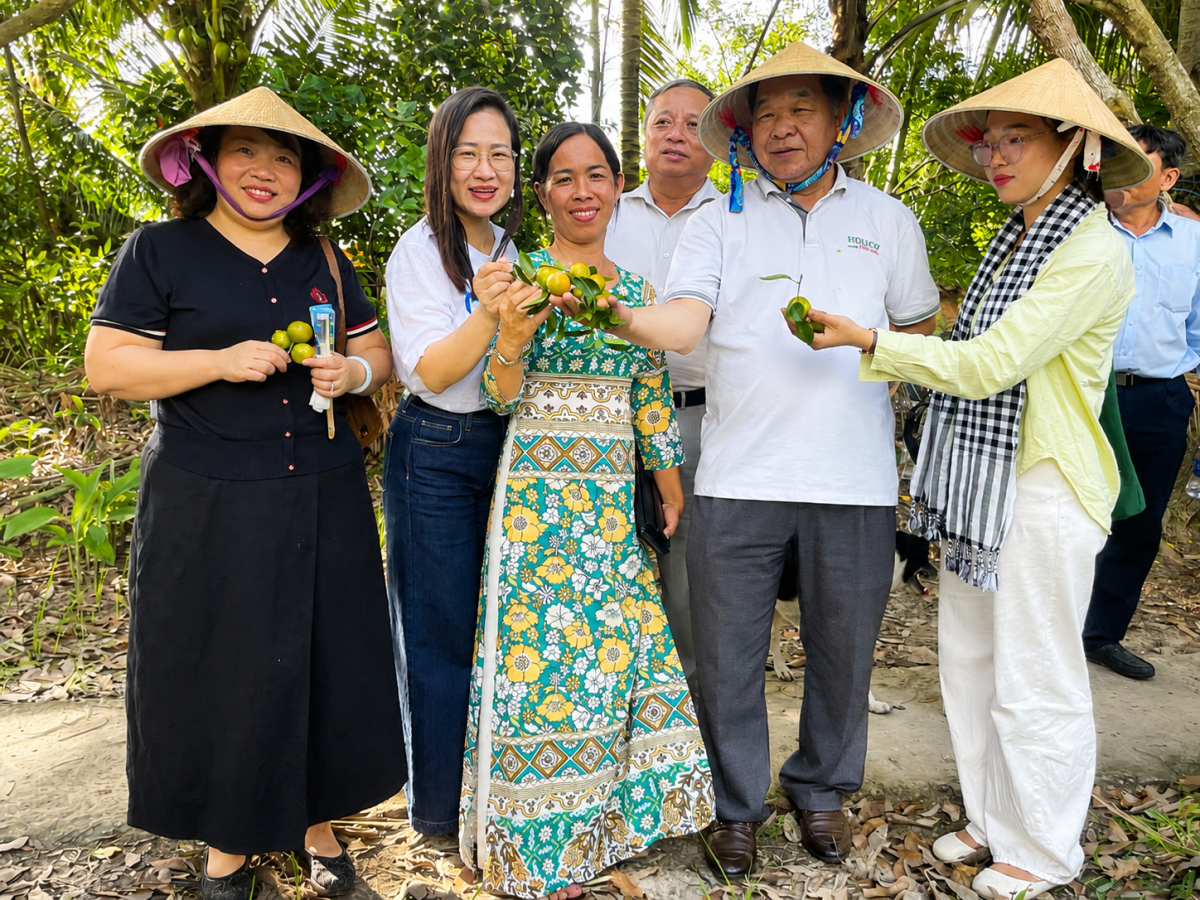Đàn kiến vàng 