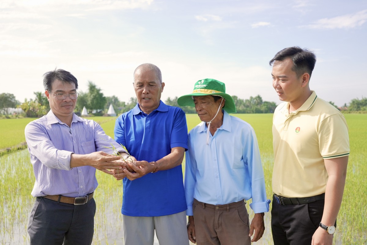 Phân bón Cà Mau khởi động 