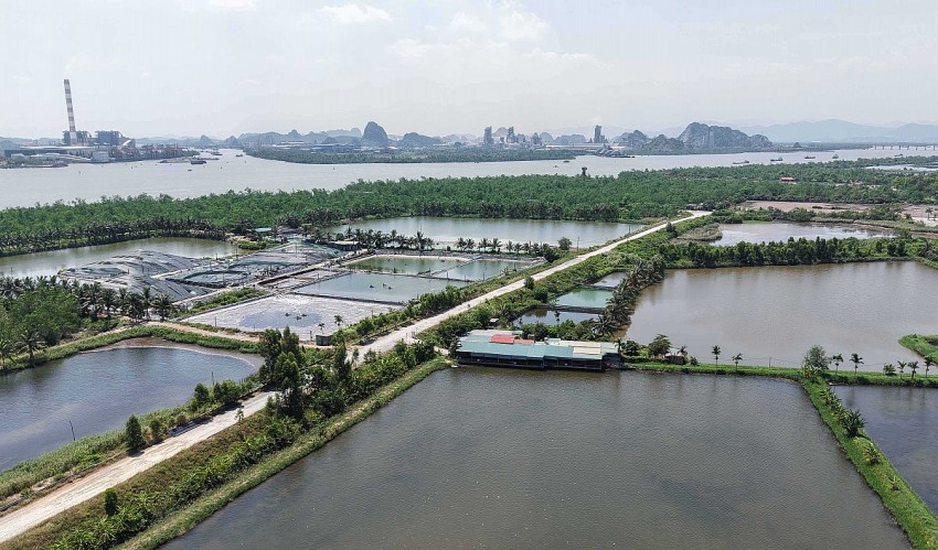 Nhà hàng Bia Rạm Bờ Đê tại khu phố Yên Giang 15 đang sử dụng diện tích đất được Nhà nước cho thuê để nuôi trồng thủy sản. Ảnh: Quangninh.gov