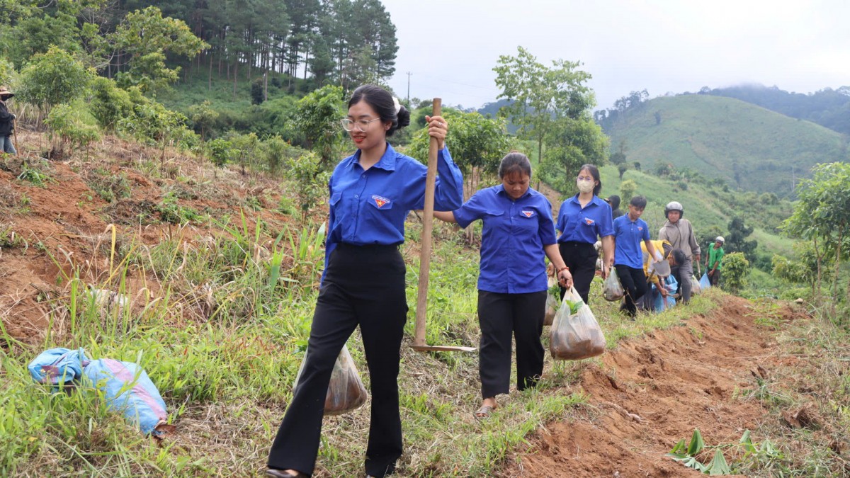 Khát vọng xây dựng thương hiệu cà phê đặc sản Tu Mơ Rông