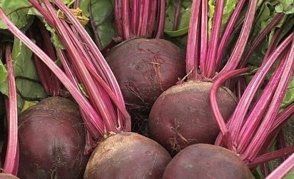hỗ trợ thải độc gan