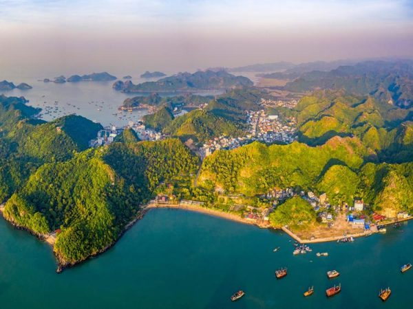 Bảo tồn và phát huy giá trị vườn quốc gia Cát Bà - di sản thiên nhiên thế giới thực trạng và giải pháp