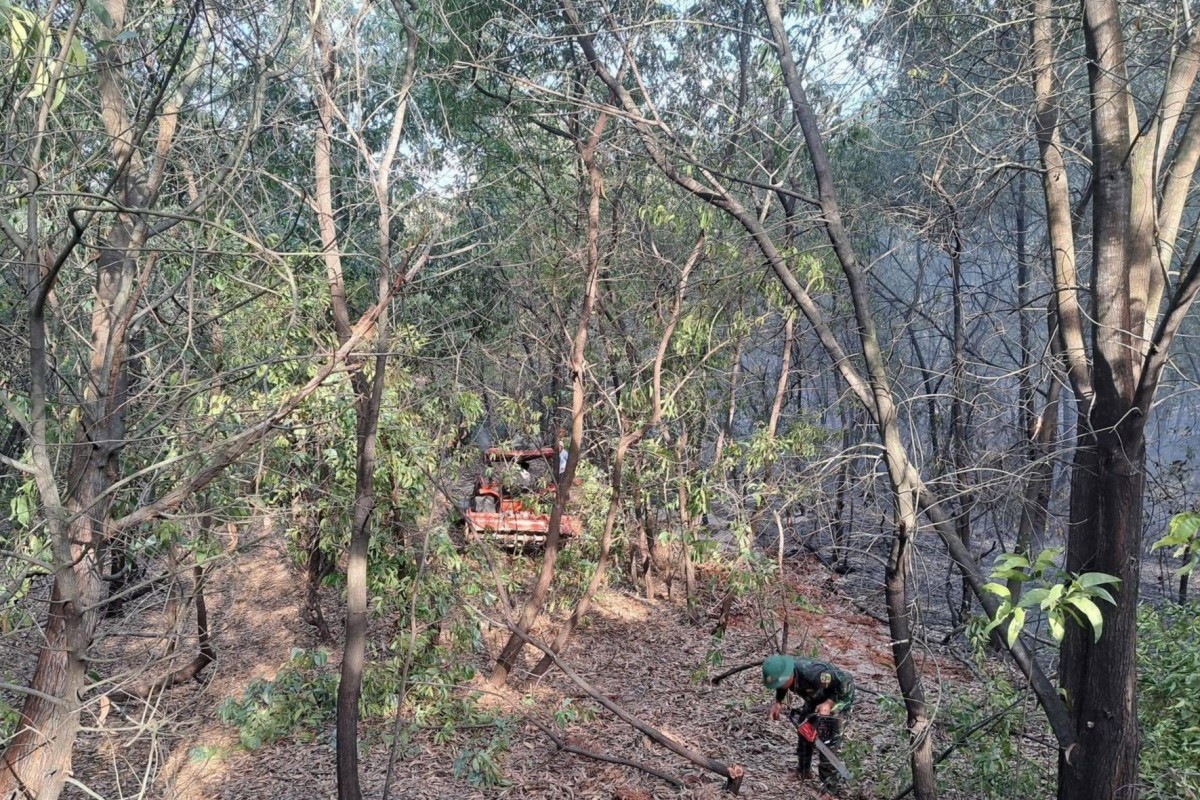 Nguy cơ cháy rừng