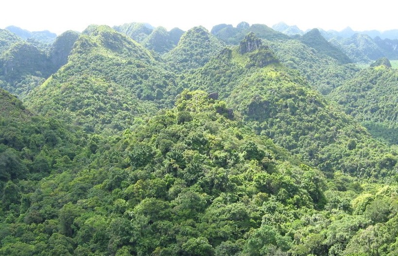 Vườn quốc gia Cát Bà: Bảo tồn nghiêm ngặt giá trị di sản và khai thác thông minh tài nguyên thiên nhiên