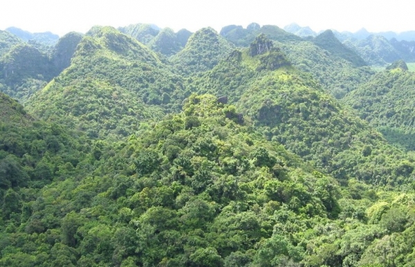 Vườn quốc gia Cát Bà: Bảo tồn nghiêm ngặt giá trị di sản và khai thác thông minh tài nguyên thiên nhiên