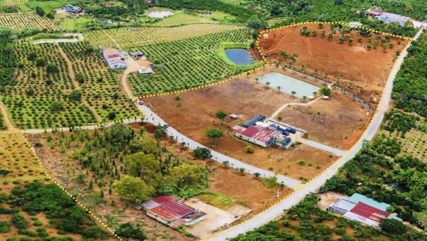 Thanh tra chỉ ra nhiều tồn tại trong công tác lập quy hoạch sử dụng đất tại huyện Lâm Hà cũ