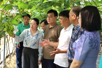 Tăng cường phối hợp phát triển kinh tế nông nghiệp giữa Hà Nội và Thanh Hóa