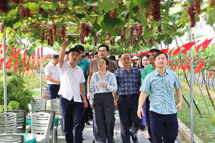 Đoàn công tác thăm mô hình trồng nho hữu cơ của hộ gia đình anh Hoàng Thanh Minh xã Đồng Tiến.