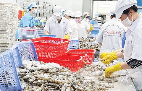 Giải pháp để nông nghiệp Việt Nam "cán đích" xuất khẩu 74 tỷ USD