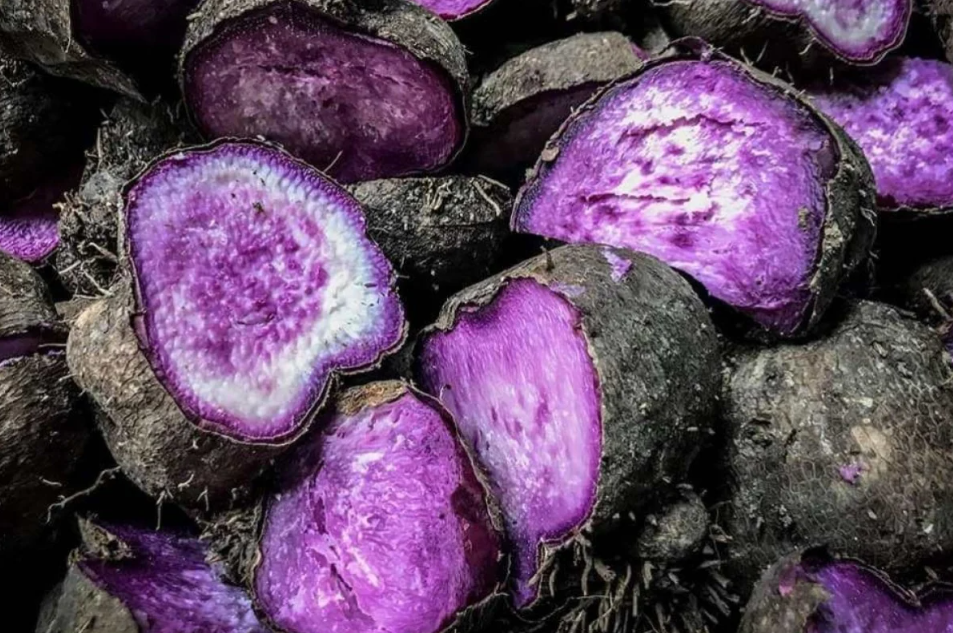 Ube Philippines trước cơ hội vàng từ làn sóng tiêu dùng toàn cầu