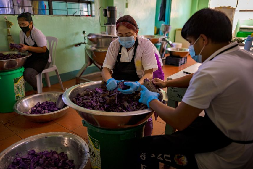 Ube Philippines trước cơ hội vàng từ làn sóng tiêu dùng toàn cầu