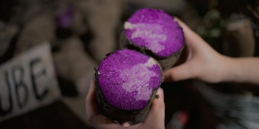 Ube Philippines trước cơ hội vàng từ làn sóng tiêu dùng toàn cầu