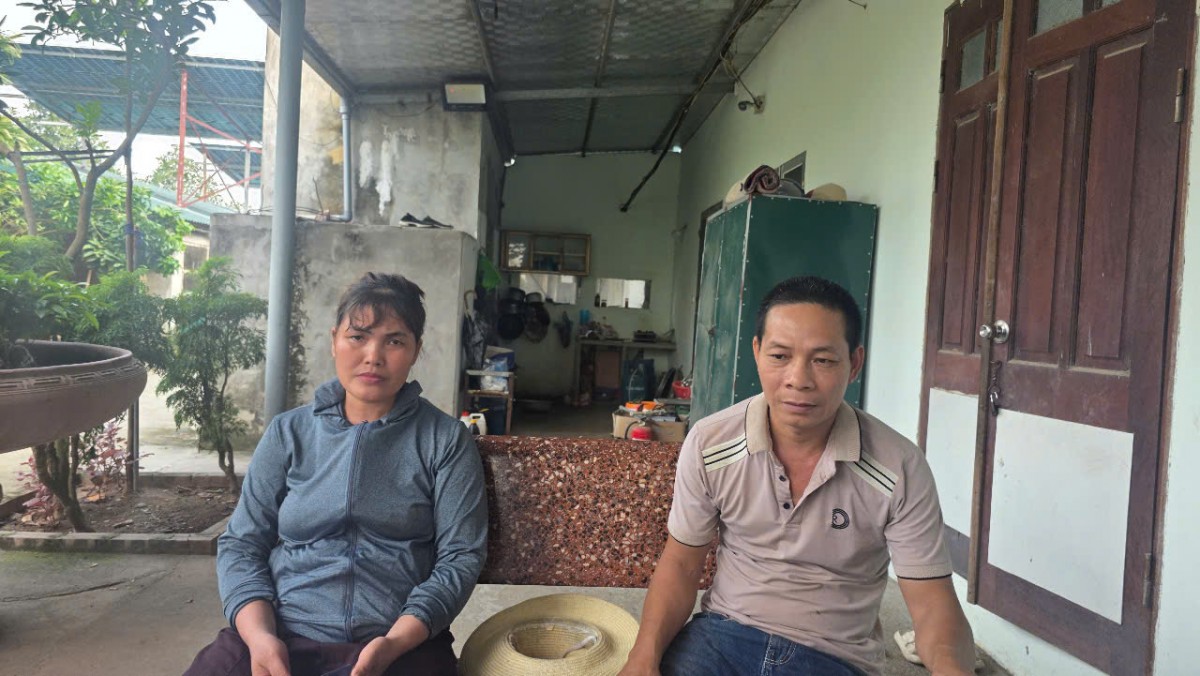 Phú Thọ: 6.000 con gà chết do sự cố điện, người dân đề nghị làm rõ trách nhiệm