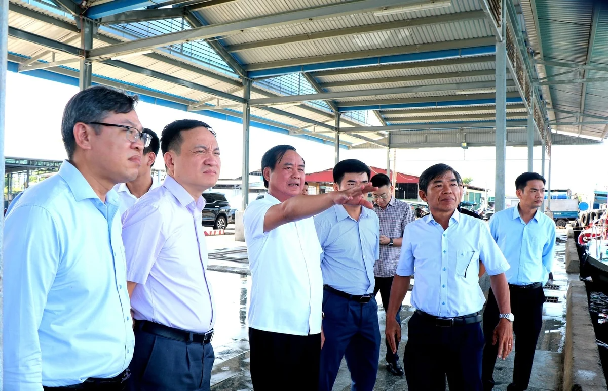 Thứ trưởng Võ Văn Hưng khảo sát hạ tầng thủy sản tại vịnh Cam Ranh
