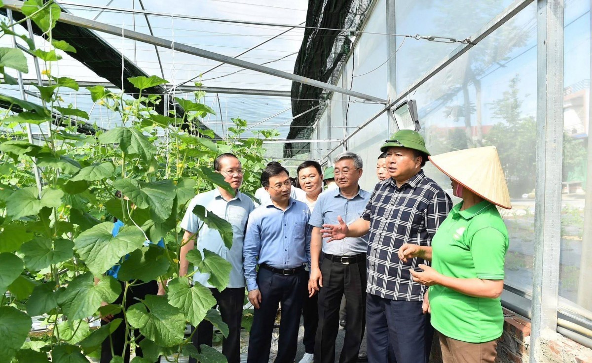 Tuyên Quang phát triển nông nghiệp xanh, nâng cao chuỗi giá trị sản xuất