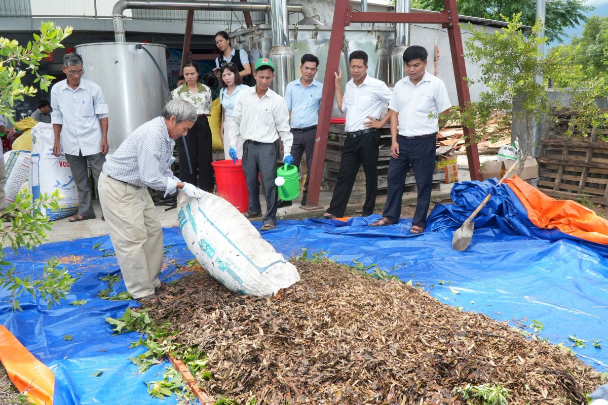 sản xuất nông nghiệp
