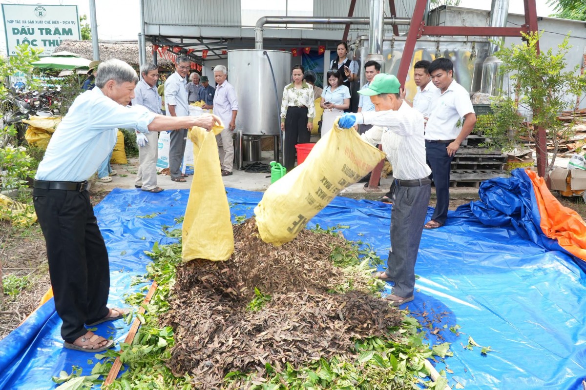 sản xuất nông nghiệp