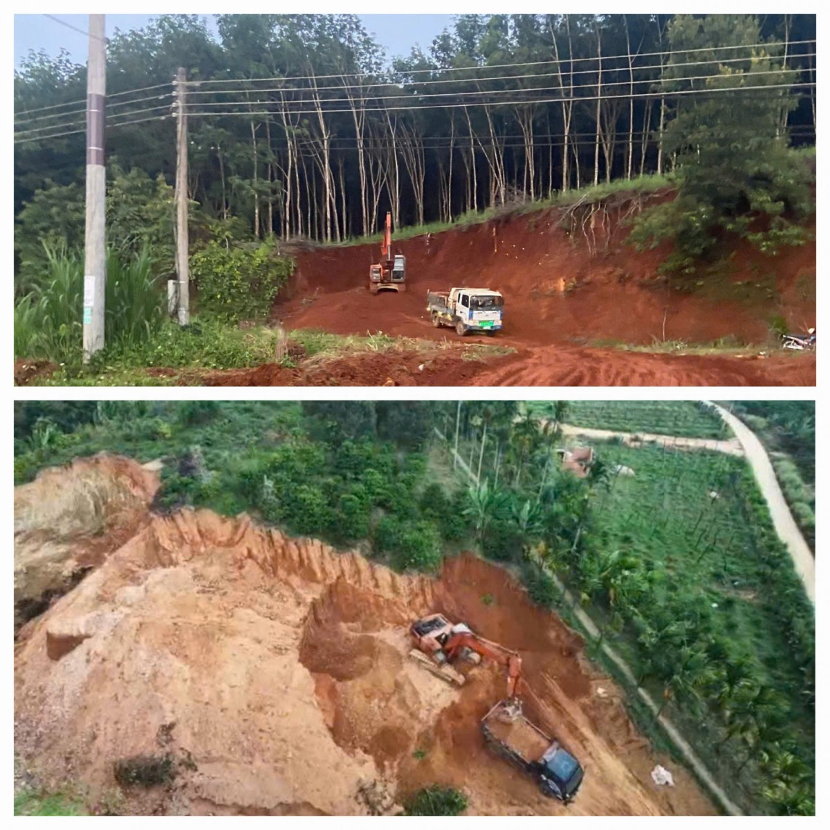Ngành Nông nghiệp và Môi trường Lâm Đồng quyết tâm bứt phá, hướng tới mục tiêu tăng trưởng hai con số