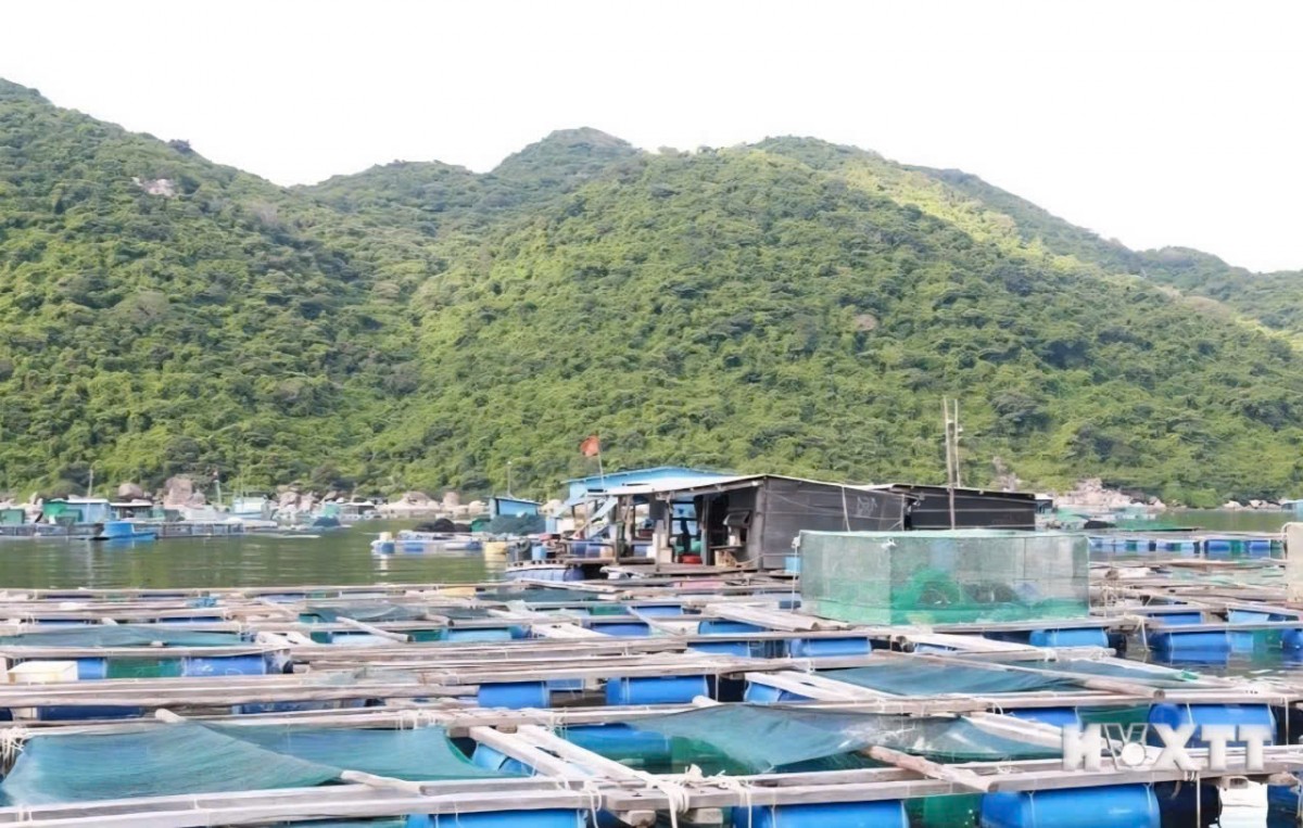 Đầu tư hạ tầng nuôi trồng thủy sản nước lợ và nước mặn tại xã Xuân Cảnh, tỉnh Đắk Lắk
