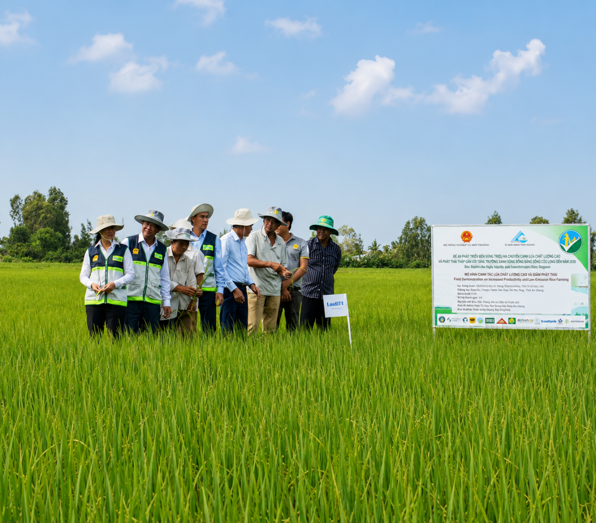An Giang đạt hơn 1,2 triệu tấn lúa chất lượng cao, phát thải thấp