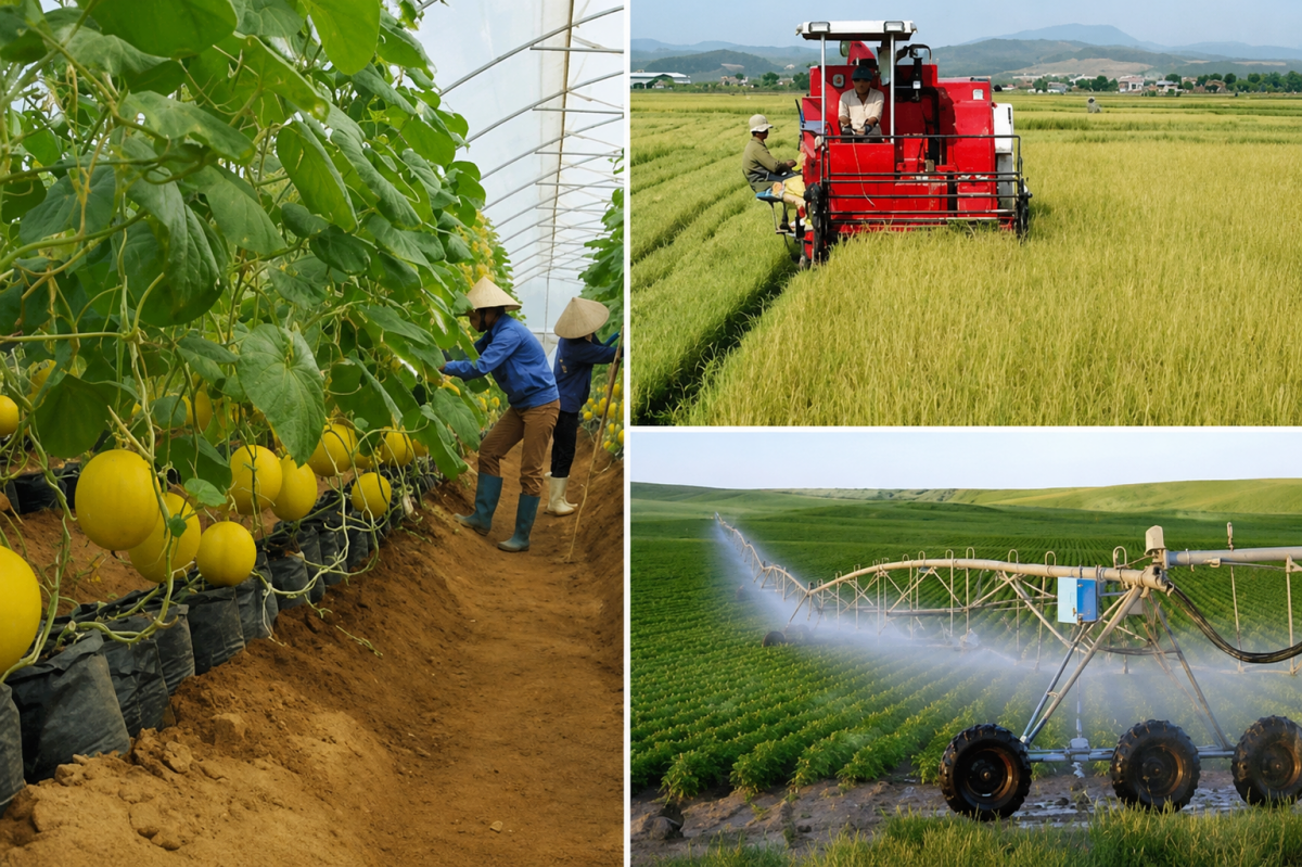 Cải cách thủ tục, kiến tạo động lực mới cho ngành trồng trọt