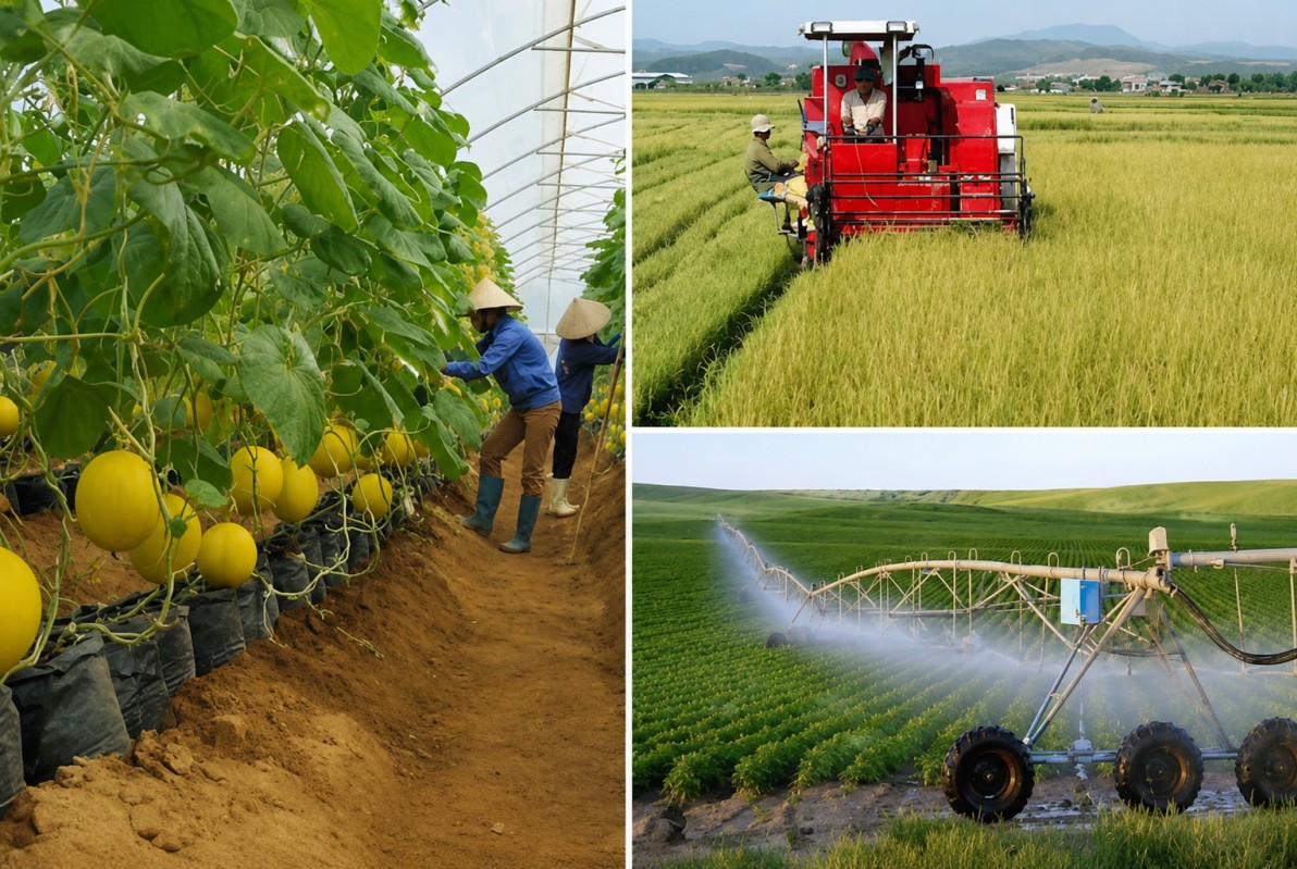 Cải cách thủ tục, kiến tạo động lực mới cho ngành trồng trọt