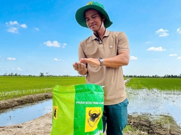 Phân bón Bình Điền: Hồi sinh đất phèn để cánh đồng lúa luôn xanh khỏe