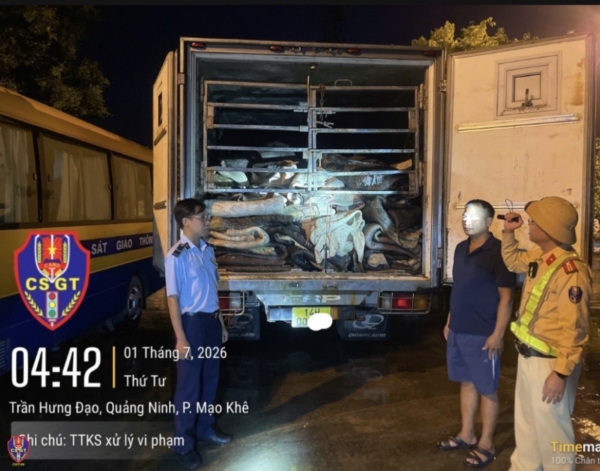 Quảng Ninh: Thu giữ gần 9 tấn da trâu muối không rõ nguồn gốc