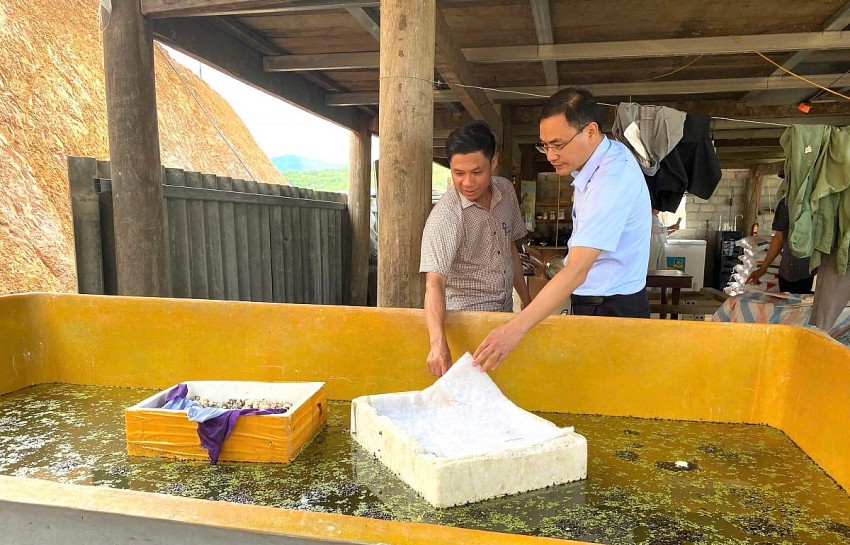 Hà Tĩnh: Hội Nông dân tỉnh kiểm tra mô hình nông nghiệp hữu cơ tuần hoàn tại cơ sở
