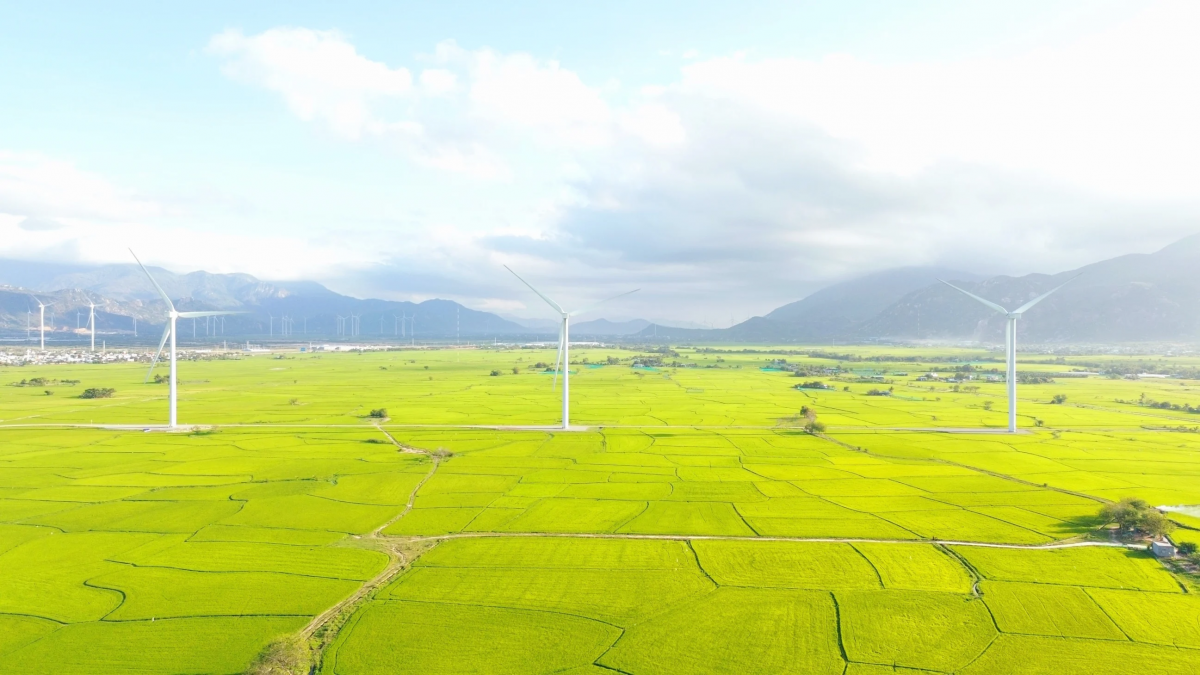 Giảm phát thải và loại bỏ khí nhà kính - Đột phá chiến lược để đạt được mục tiêu Net Zero