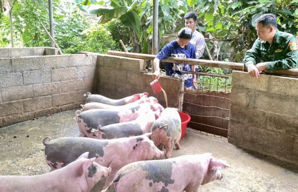 "Gieo mầm" no ấm nơi phên dậu Tổ quốc