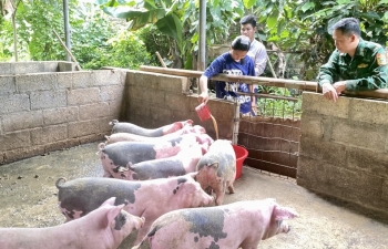 "Gieo mầm" no ấm nơi phên dậu Tổ quốc
